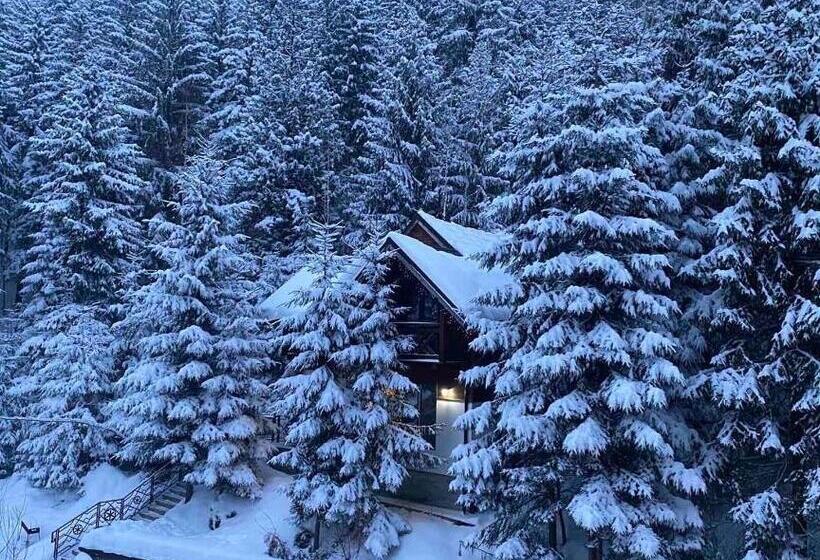 خانه 2 خوابه, Karpatski Dzherela