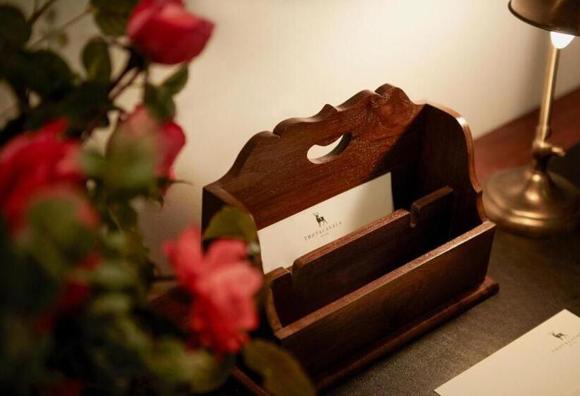 Suíte Júnior, Thotalagala