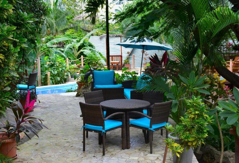 سوئیت با تخت بزرگ, West Bay Lodge And Spa