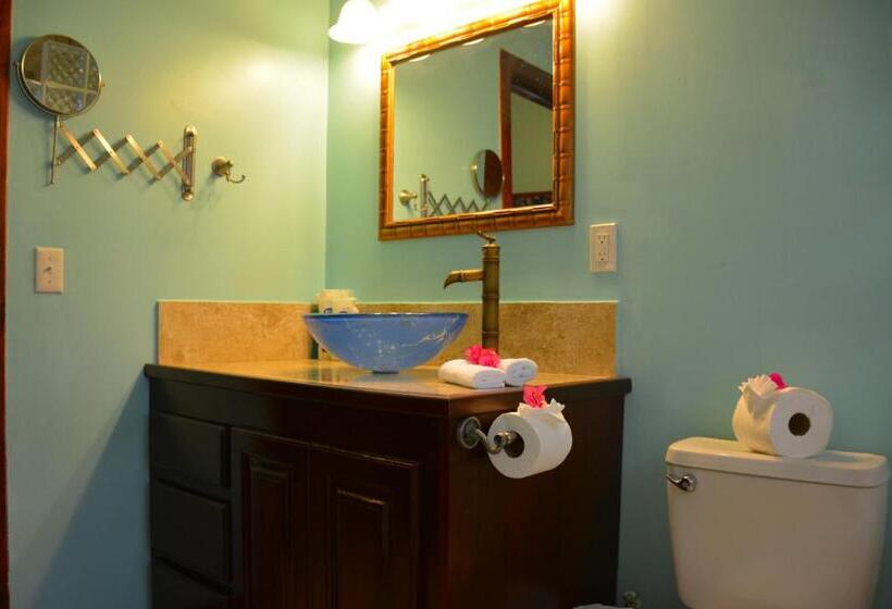 سوئیت با تخت بزرگ, West Bay Lodge And Spa