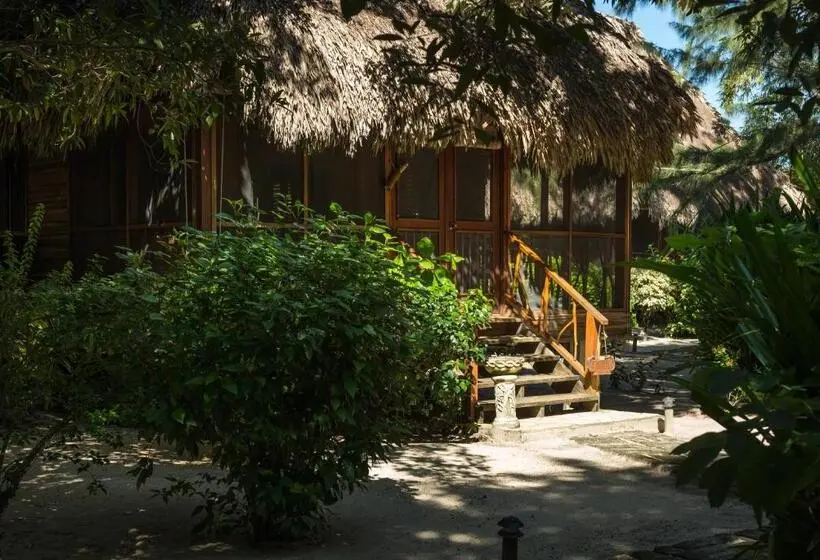 ویلای 1 خوابه با چشم‌انداز باغ, Turtle Inn By Francis Ford Coppola