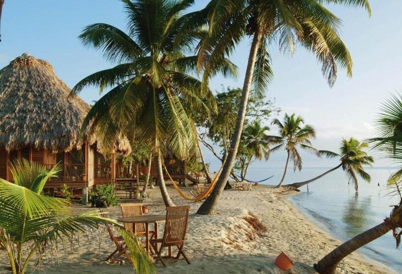 בקתה, Turtle Inn By Francis Ford Coppola