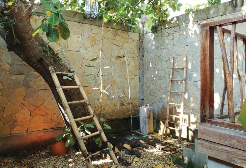 וילה בת חדר שינה 1, Turtle Inn By Francis Ford Coppola