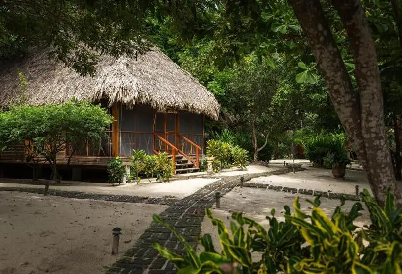 کابین, Turtle Inn By Francis Ford Coppola