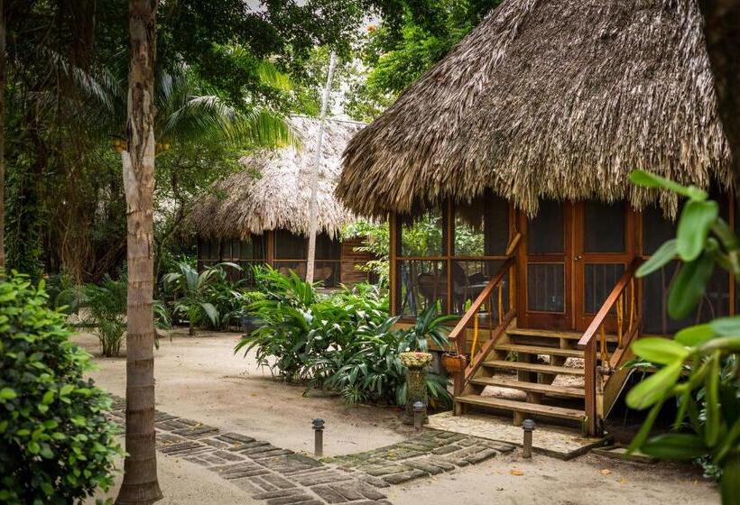 בקתה, Turtle Inn By Francis Ford Coppola