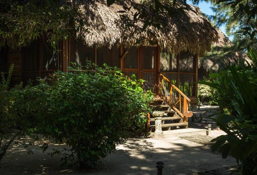 בית, חדר שינה 1, Turtle Inn By Francis Ford Coppola