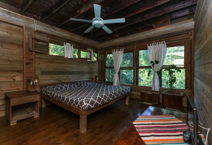 اتاق استاندارد, Roatan Bed & Breakfast Apartments