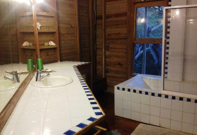 اتاق استاندارد, Roatan Bed & Breakfast Apartments