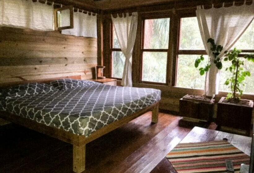 اتاق استاندارد, Roatan Bed & Breakfast Apartments