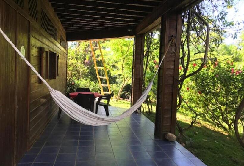 آپارتمان 1 خوابه, Roatan Bed & Breakfast Apartments