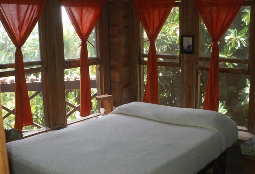 اتاق اکونومی, Roatan Bed & Breakfast Apartments
