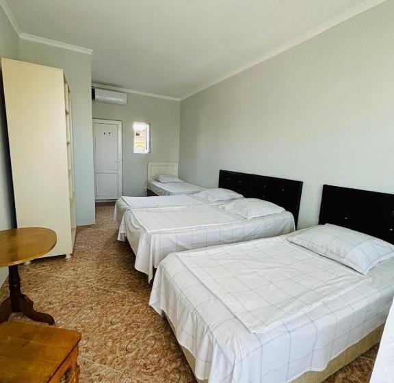 اتاق استاندارد چهار تخته, Joni Mari