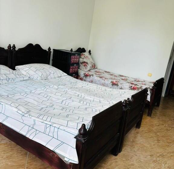 اتاق استاندارد سه نفره, Joni Mari