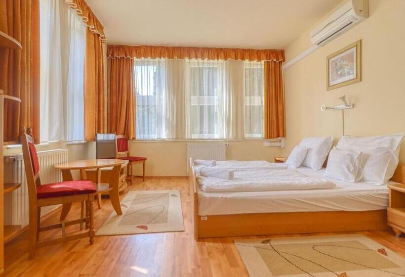 Апартаменты 1 Спальня Нижний Этаж, Villa Park Apartmanház