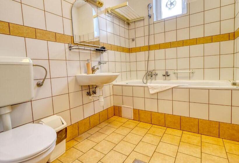 Апартаменты 1 Спальня Нижний Этаж, Villa Park Apartmanház