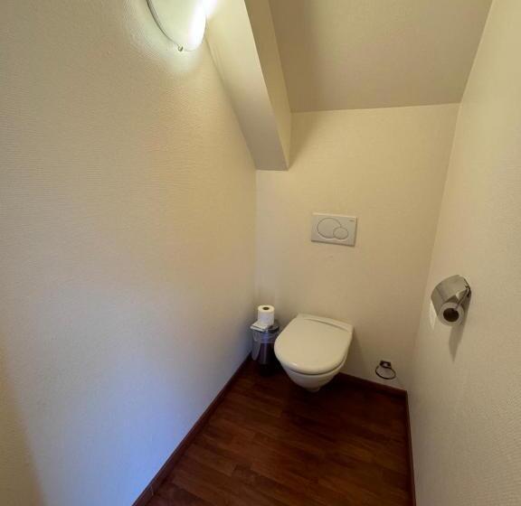 Номер Стандарт, L Overlord