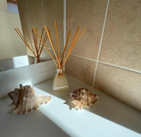 Номер Стандарт, L Overlord