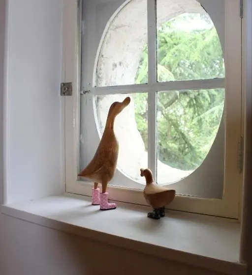 デラックスルーム, Le Refuge Des Libellules
