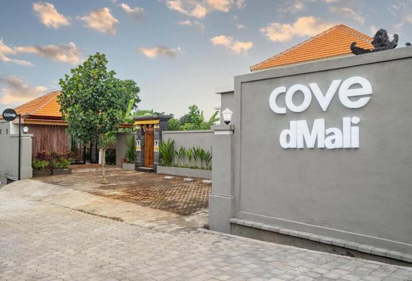 豪华房间, Cove Dmali