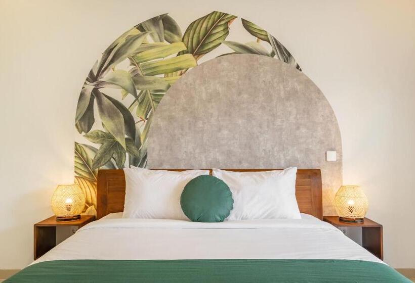 豪华房间, Cove Dmali