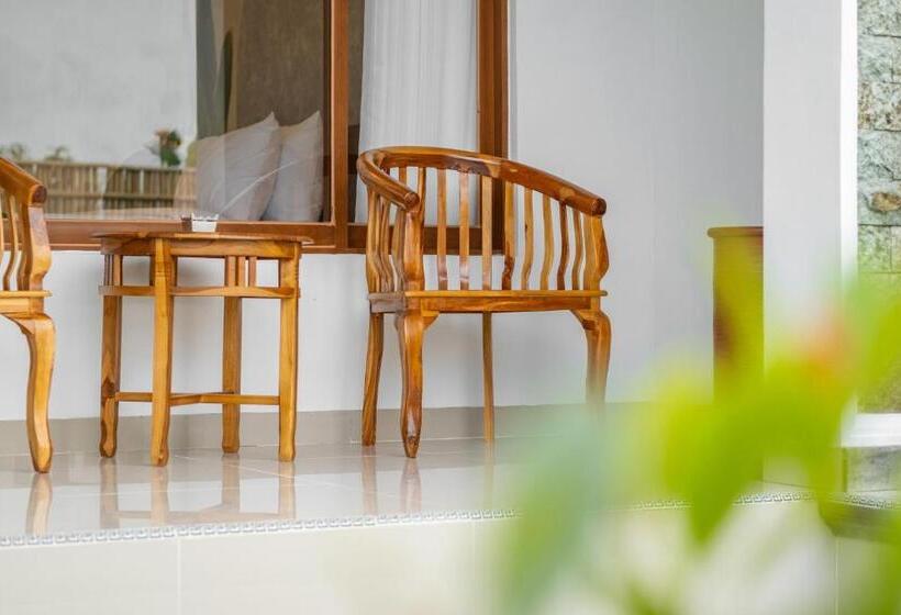 豪华房间, Cove Dmali