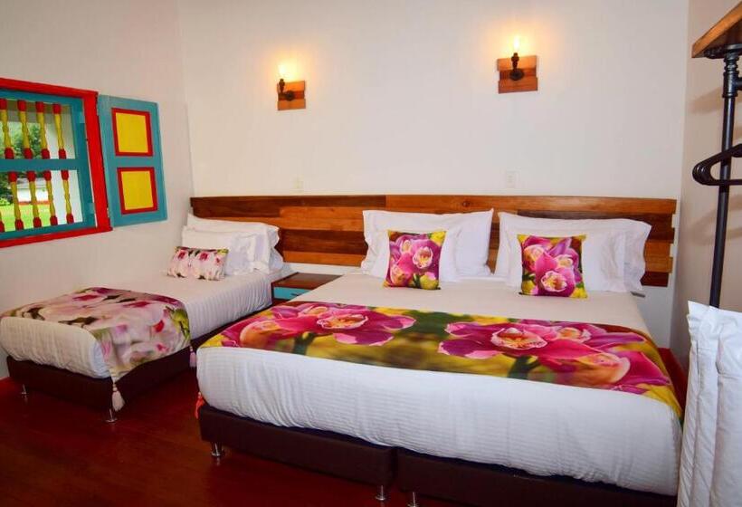 غرفة ديلوكس ثلاثية, Dreamer Cocora