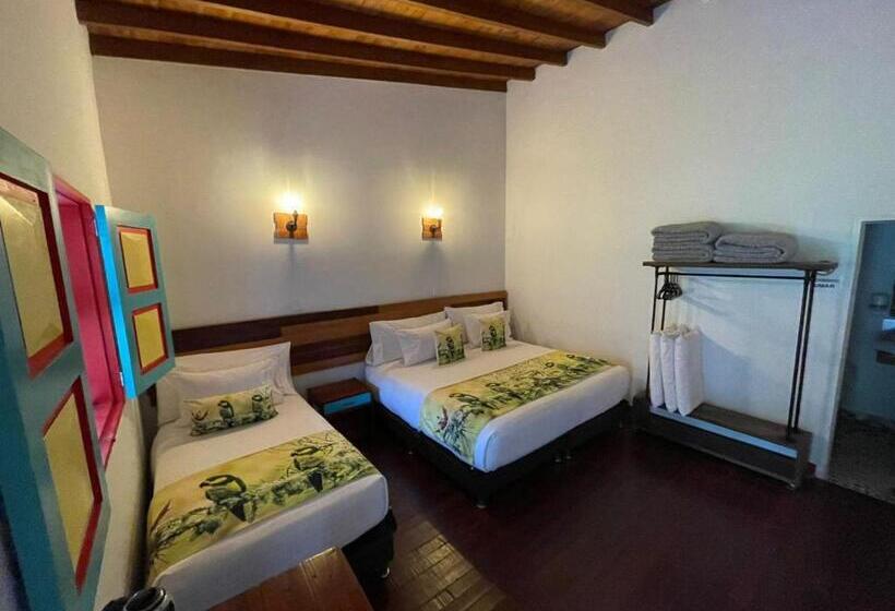 غرفة ديلوكس ثلاثية, Dreamer Cocora