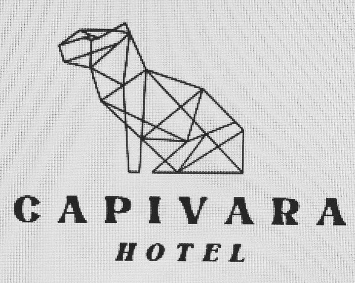 １ベッドルームアパートメント, Capivara