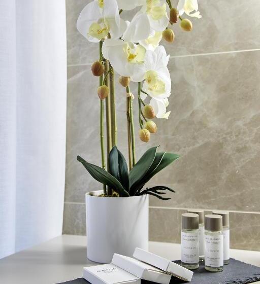 اتاق استاندارد, Sarpi Apartment & Suite