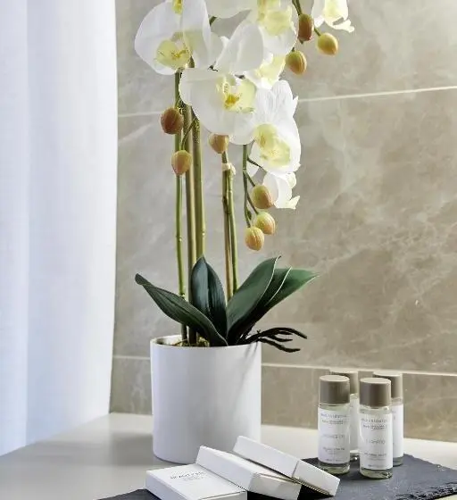 اتاق استاندارد, Sarpi Apartment & Suite