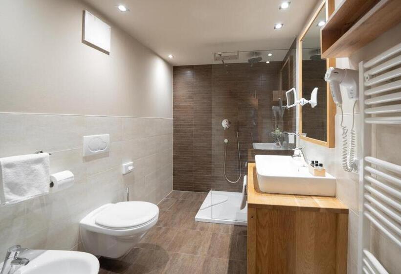 Номер Стандарт, Berghotel Zorzi