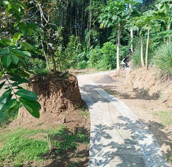 חדר סטנדרט, Kubu D  Teba