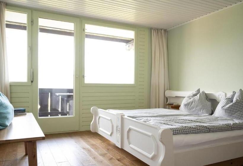 Апартаменты 1 Спальня с Видом, Pension Hanslmann