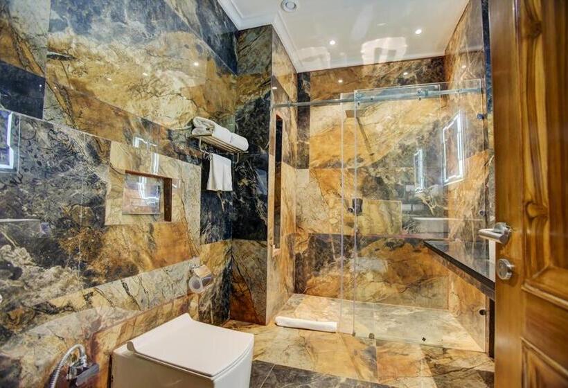 豪华房间, Sarovar Portico Saharanpur