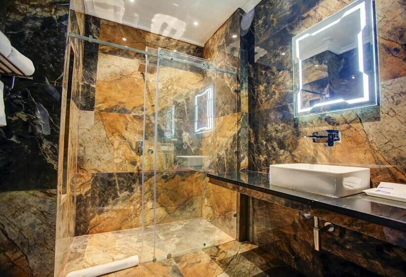 豪华房间, Sarovar Portico Saharanpur