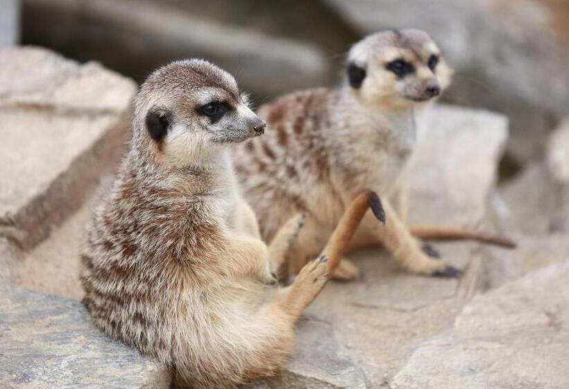 スタンダードトリプルルーム, Faunapark Lipová Lázně