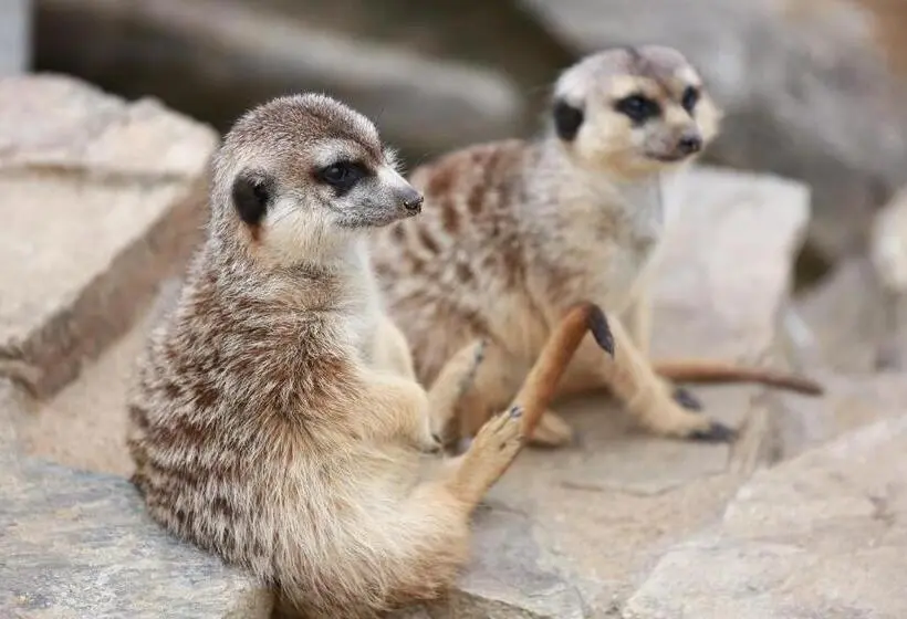 スタンダードトリプルルーム, Faunapark Lipová Lázně
