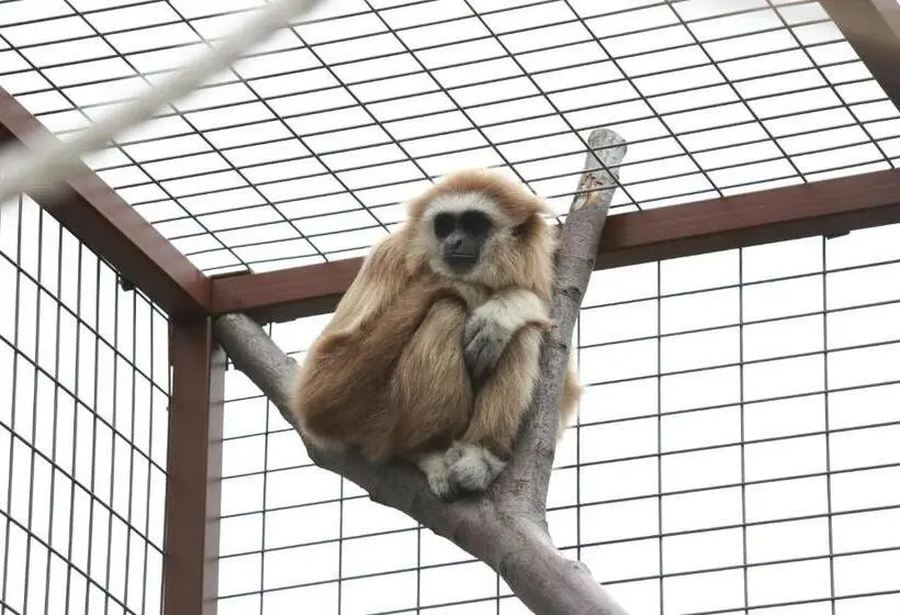 ファミリールーム, Faunapark Lipová Lázně