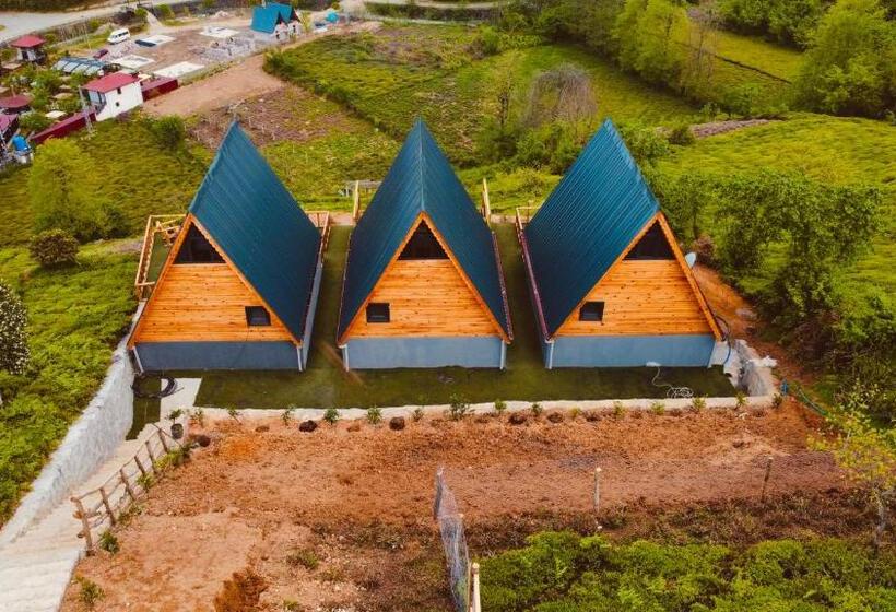 חדר דלוקס נוף לגינה, Yedek Hesap