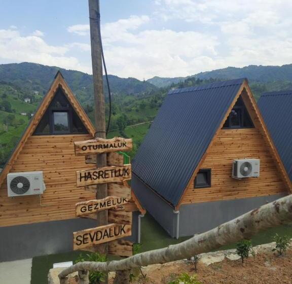 חדר סטנדרט נוף להרים, Yedek Hesap