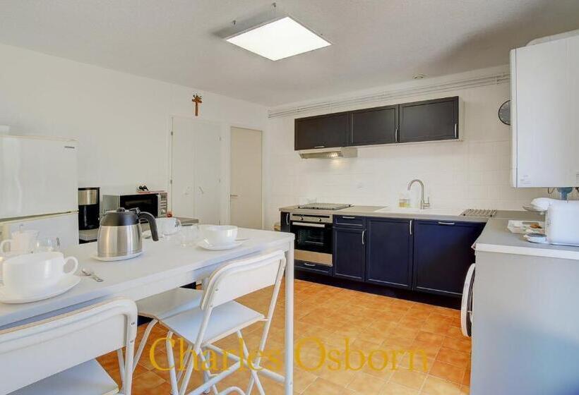 منزل غرفة نوم واحدة, Au Big Lazard