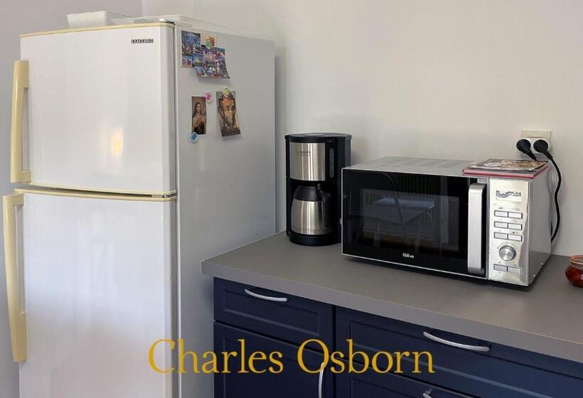 منزل غرفة نوم واحدة, Au Big Lazard