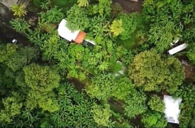 غرفة قياسية ثلاثية مطلة علي الحديقة, Rainbow Caravan Hostel