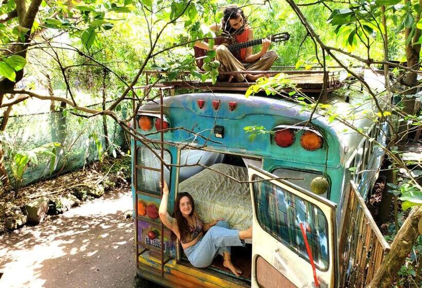 غرفة قياسية ثلاثية مطلة علي الحديقة, Rainbow Caravan Hostel