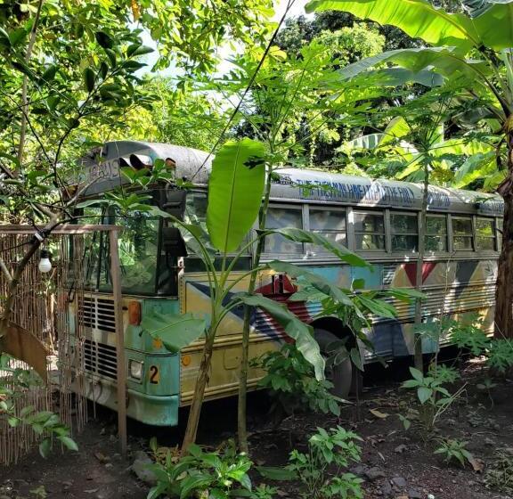 غرفة قياسية رباعية مطلة على الحديقة, Rainbow Caravan Hostel