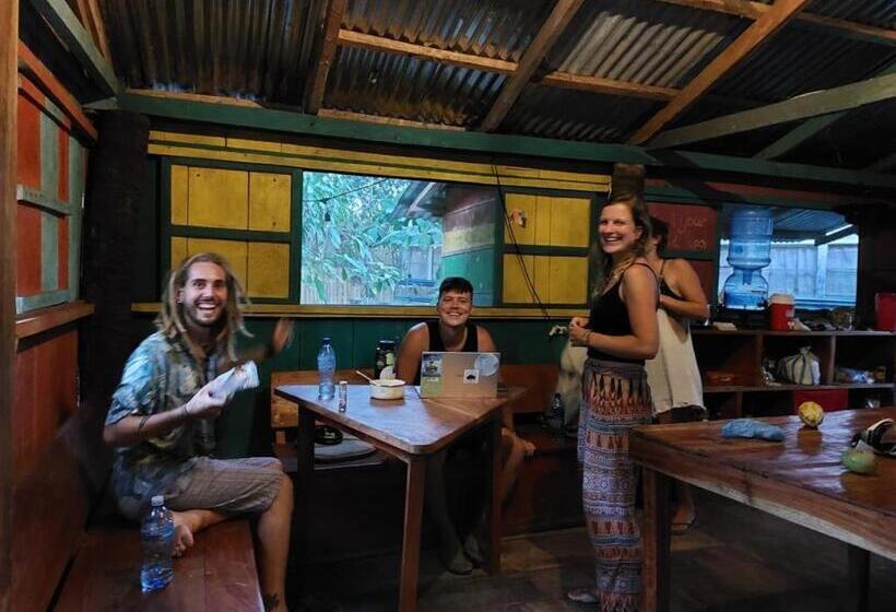 غرفة قياسية رباعية مطلة على الحديقة, Rainbow Caravan Hostel