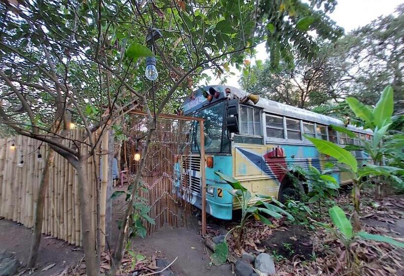 غرفة قياسية رباعية مطلة على الحديقة, Rainbow Caravan Hostel