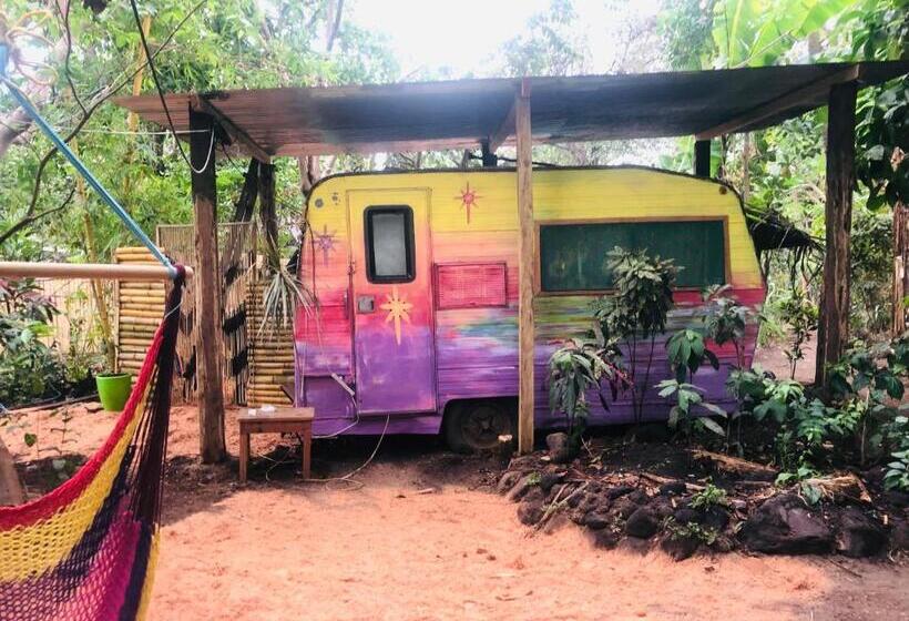 غرفة قياسية مطلّة علي الحديقة, Rainbow Caravan Hostel