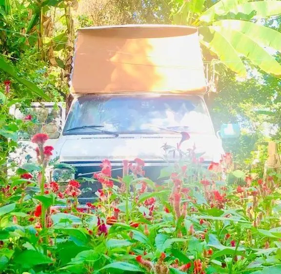 庭の見えるシングルルーム, Rainbow Caravan Hostel