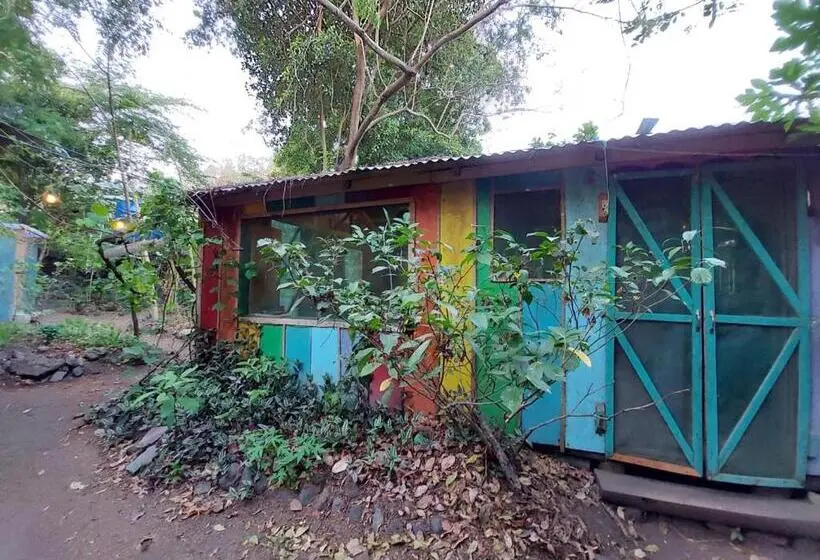 ルームシェアのワンベッド, Rainbow Caravan Hostel